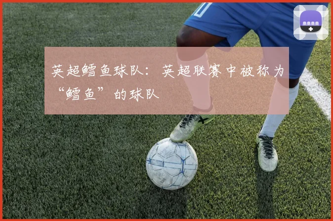 英超鳕鱼球队：英超联赛中被称为“鳕鱼”的球队