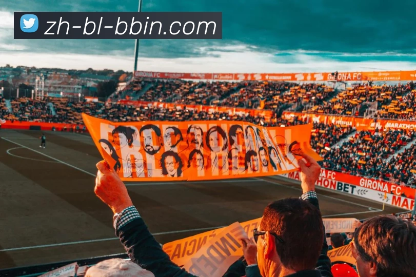 App Interface Preview