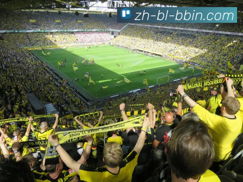 bbin宝盈APP 封面图